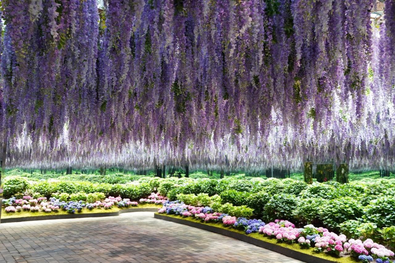 Kensington Resort Gapyeong Exteriör bild